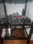 Picture 16 of Mistress Anastasia Black, Bayswater